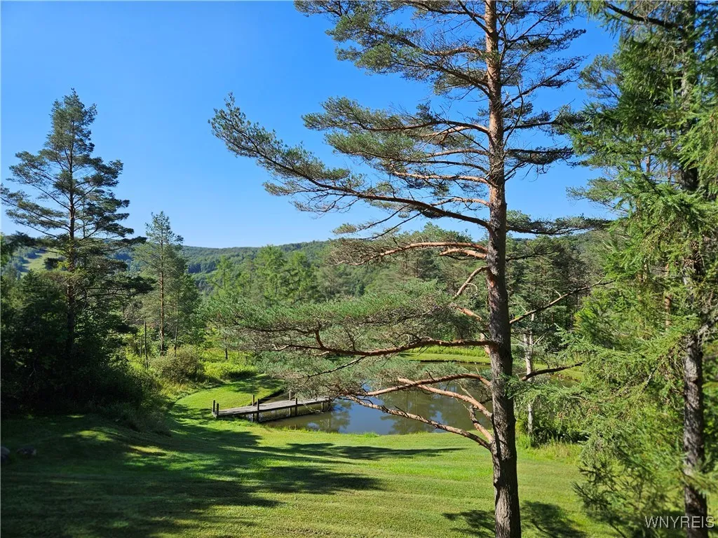 6539 Plum Creek Road, Mansfield, New York 14731, Mansfield, New York 14731, 6 Bedrooms Bedrooms, 11 Rooms Rooms,3 BathroomsBathrooms,Residential,Closed,6539 Plum Creek Road, Mansfield, New York 14731,0,B1589424