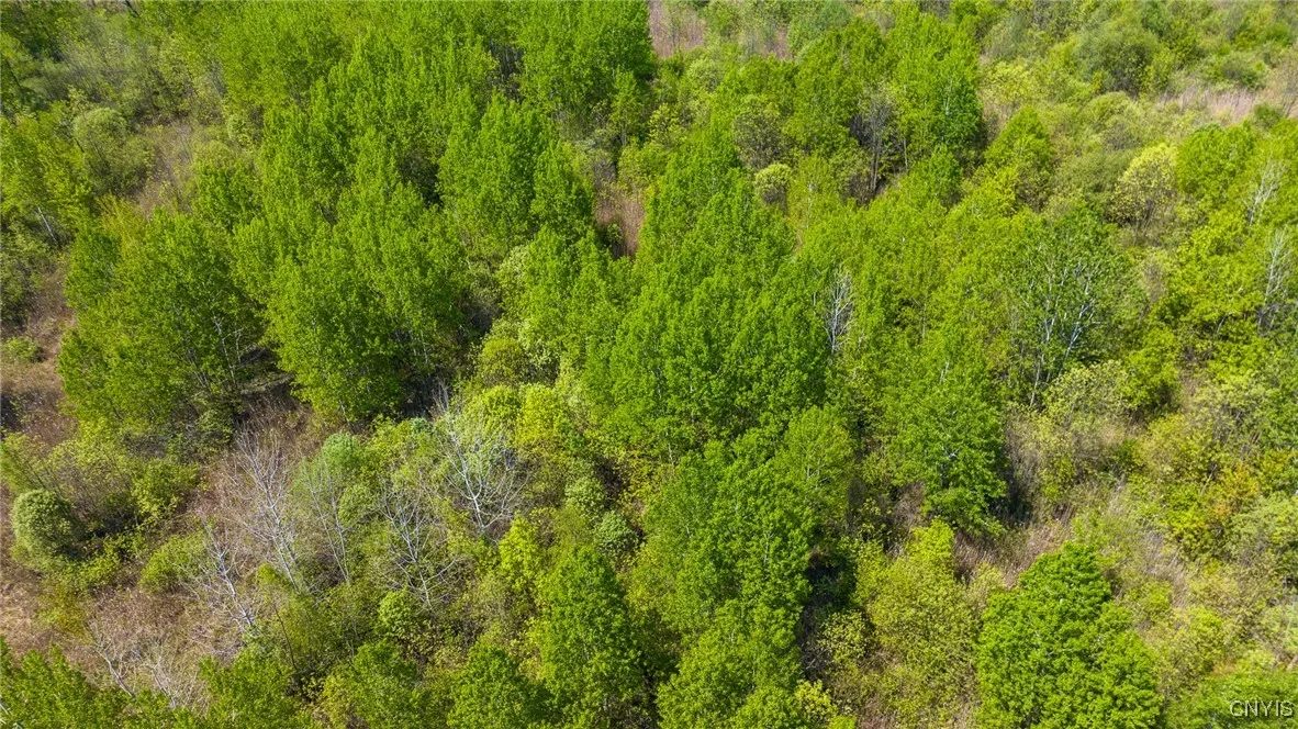 Roberts Street, Dewitt, New York 13057, De Witt, New York 13057, ,Land,For Sale,Roberts Street, Dewitt, New York 13057,0,S1589495