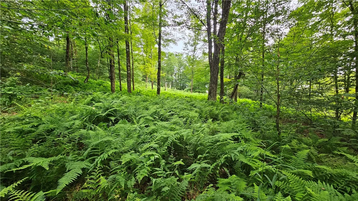 0 Freer Hollow Road, Franklin, New York 13775, Franklin, New York 13775, ,Land,For Sale,0 Freer Hollow Road, Franklin, New York 13775,R1589679