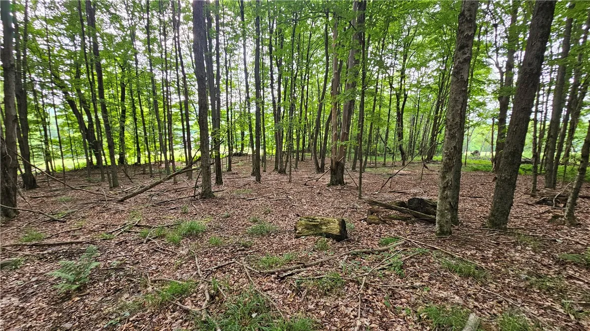 0 Freer Hollow Road, Franklin, New York 13775, Franklin, New York 13775, ,Land,For Sale,0 Freer Hollow Road, Franklin, New York 13775,R1589679
