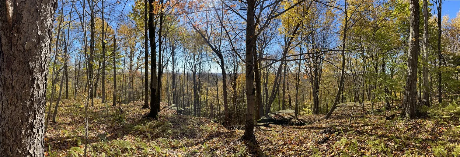 0 Freer Hollow Road, Franklin, New York 13775, Franklin, New York 13775, ,Land,For Sale,0 Freer Hollow Road, Franklin, New York 13775,R1589679
