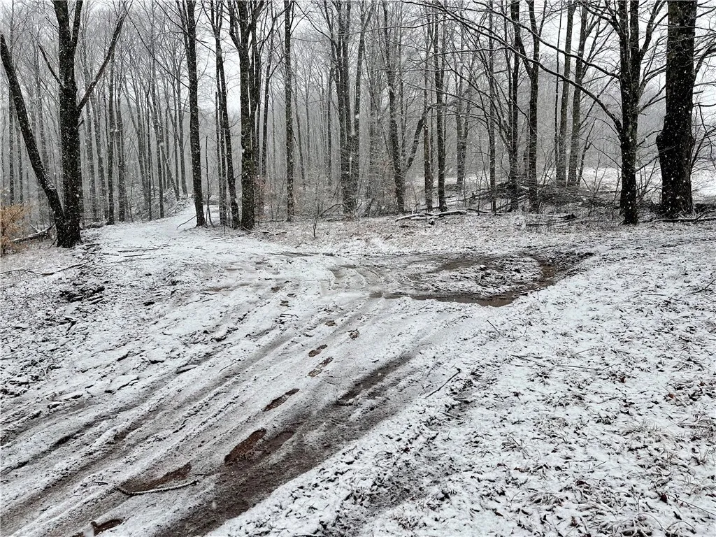 0 Freer Hollow Road, Franklin, New York 13775, Franklin, New York 13775, ,Land,For Sale,0 Freer Hollow Road, Franklin, New York 13775,R1589679