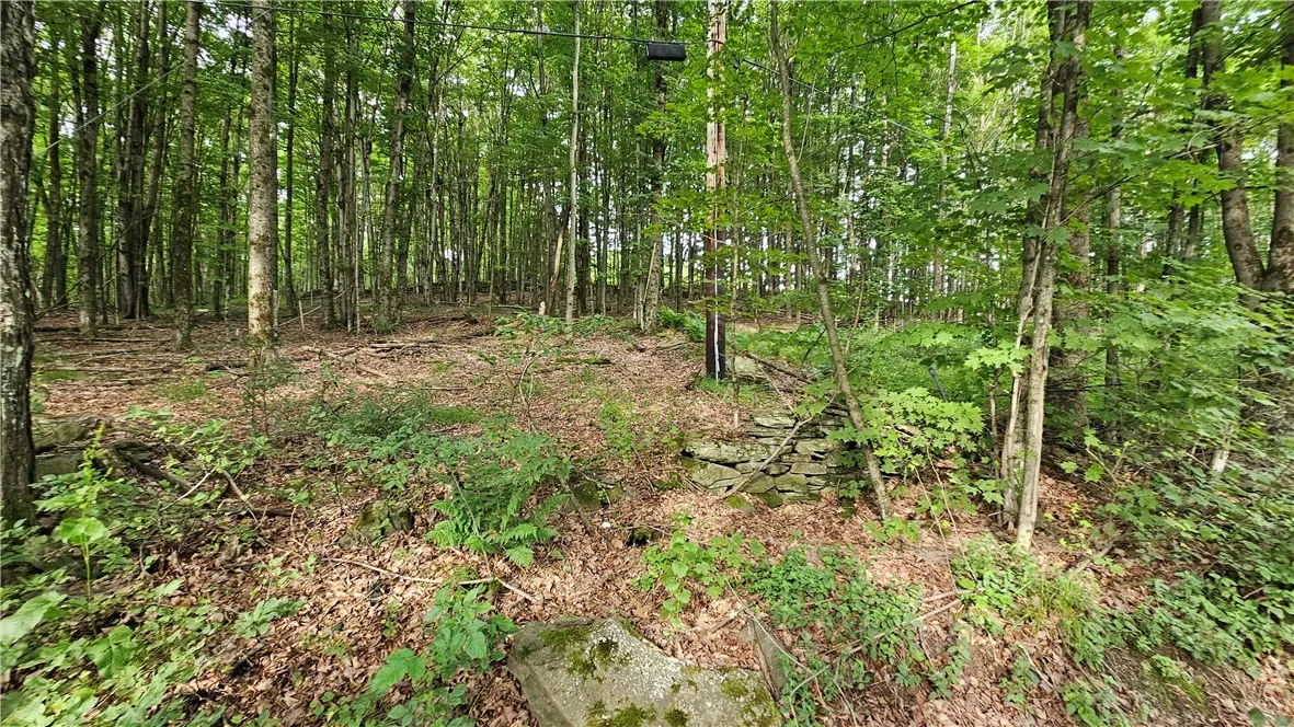 0 Freer Hollow Road, Franklin, New York 13775, Franklin, New York 13775, ,Land,For Sale,0 Freer Hollow Road, Franklin, New York 13775,R1589679
