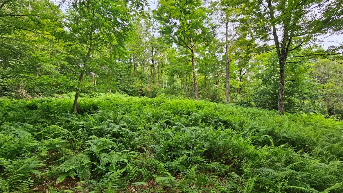 0 Freer Hollow Road, Franklin, New York 13775, Franklin, New York 13775, ,Land,For Sale,0 Freer Hollow Road, Franklin, New York 13775,R1589679