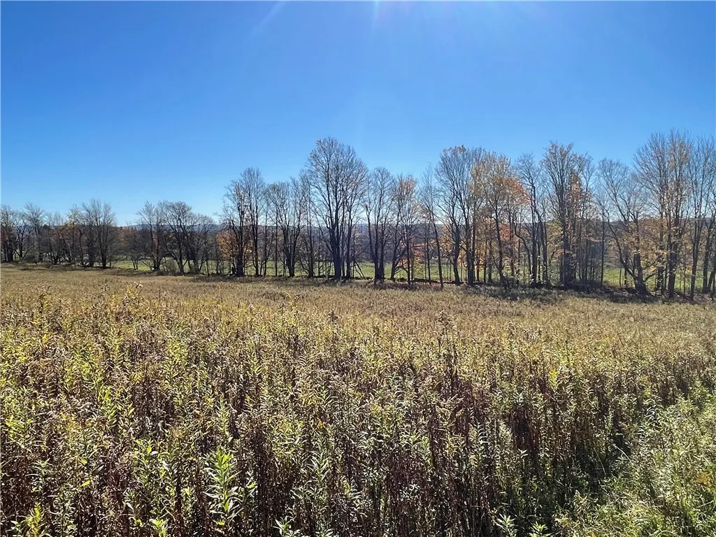 0 Freer Hollow Road, Franklin, New York 13775, Franklin, New York 13775, ,Land,For Sale,0 Freer Hollow Road, Franklin, New York 13775,R1589679