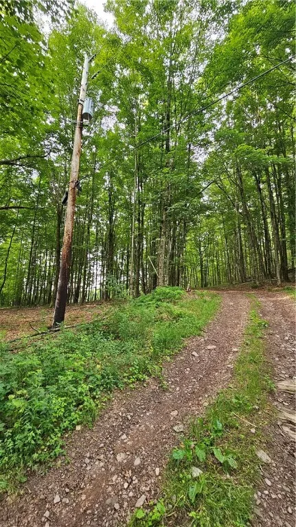 0 Freer Hollow Road, Franklin, New York 13775, Franklin, New York 13775, ,Land,For Sale,0 Freer Hollow Road, Franklin, New York 13775,R1589679