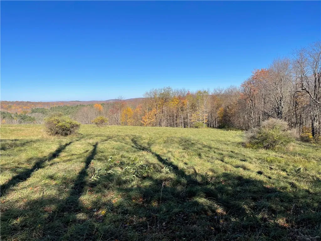 0 Freer Hollow Road, Franklin, New York 13775, Franklin, New York 13775, ,Land,For Sale,0 Freer Hollow Road, Franklin, New York 13775,R1589679