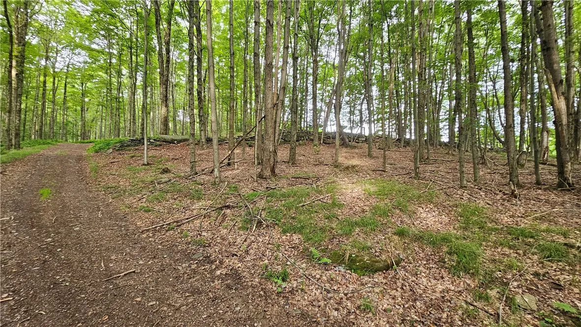 0 Freer Hollow Road, Franklin, New York 13775, Franklin, New York 13775, ,Land,For Sale,0 Freer Hollow Road, Franklin, New York 13775,R1589679