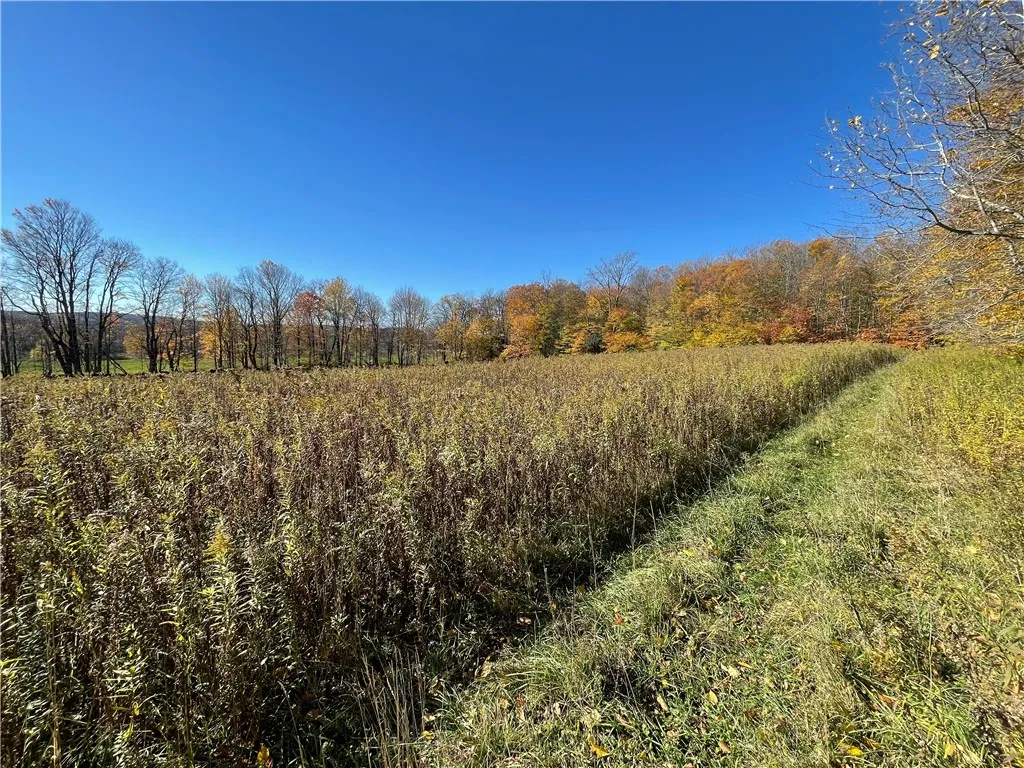 0 Freer Hollow Road, Franklin, New York 13775, Franklin, New York 13775, ,Land,For Sale,0 Freer Hollow Road, Franklin, New York 13775,R1589679
