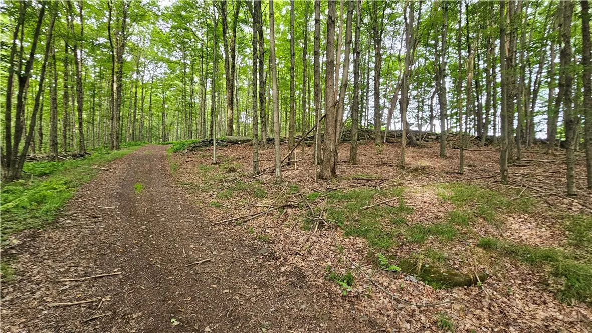 0 Freer Hollow Road, Franklin, New York 13775, Franklin, New York 13775, ,Land,For Sale,0 Freer Hollow Road, Franklin, New York 13775,R1589679