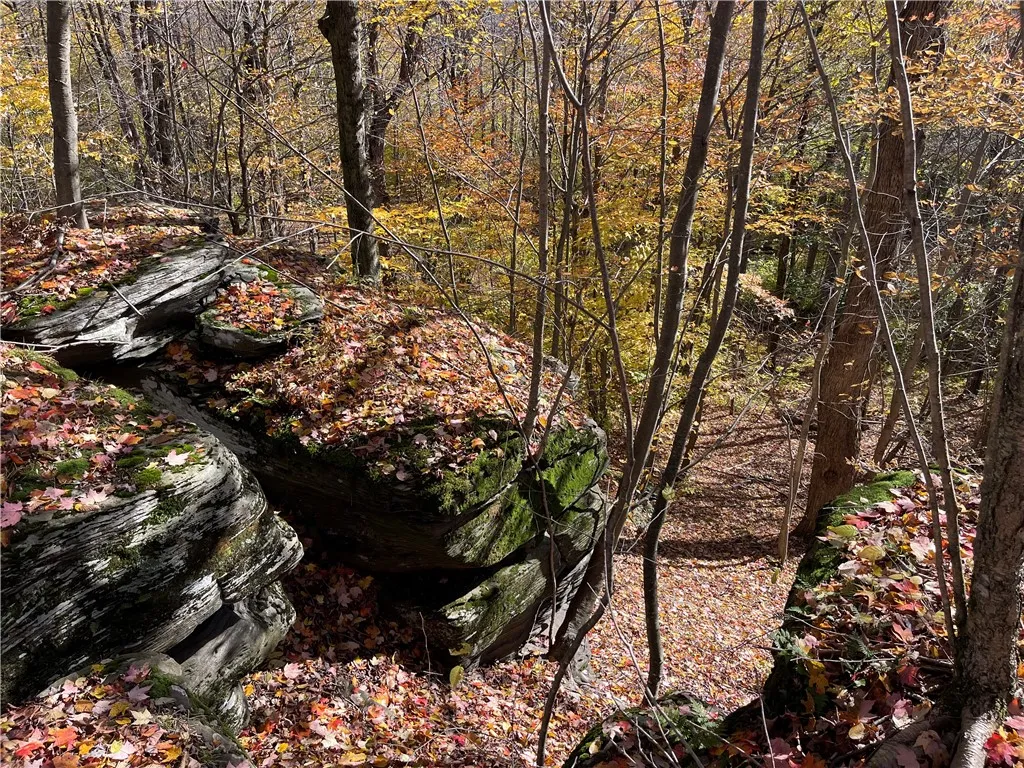 0 Freer Hollow Road, Franklin, New York 13775, Franklin, New York 13775, ,Land,For Sale,0 Freer Hollow Road, Franklin, New York 13775,R1589679