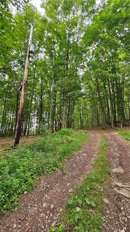 0 Freer Hollow Road, Franklin, New York 13775, Franklin, New York 13775, ,Land,For Sale,0 Freer Hollow Road, Franklin, New York 13775,R1589679