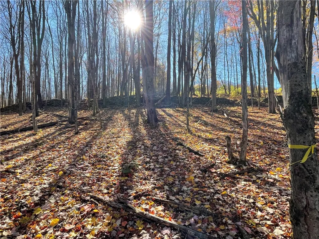 0 Freer Hollow Road, Franklin, New York 13775, Franklin, New York 13775, ,Land,For Sale,0 Freer Hollow Road, Franklin, New York 13775,R1589679