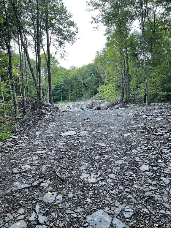 0 Freer Hollow Road, Franklin, New York 13775, Franklin, New York 13775, ,Land,For Sale,0 Freer Hollow Road, Franklin, New York 13775,R1589679
