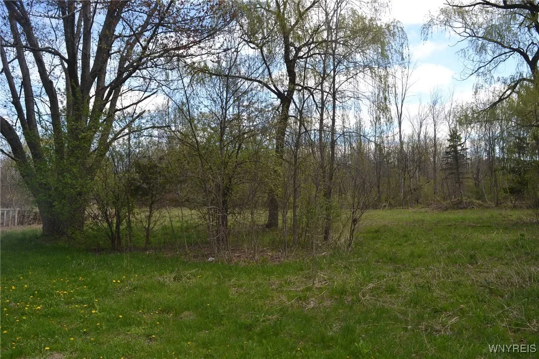 2021 Ferrier Road, Eden, New York 14057, Eden, New York 14057, 5 Bedrooms Bedrooms, 9 Rooms Rooms,3 BathroomsBathrooms,Residential,Closed,2021 Ferrier Road, Eden, New York 14057,B1589876