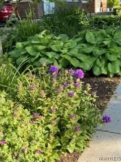 Perennial gardens