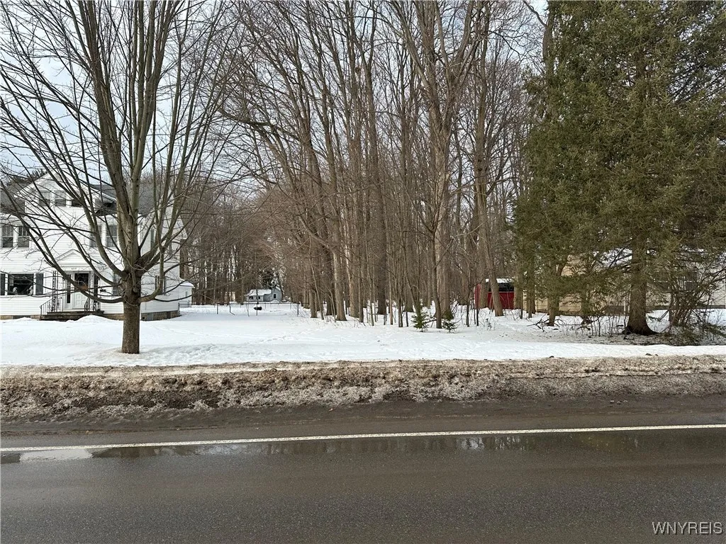 Vl South St, Aurora, New York 14052, Aurora, New York 14052, ,Land,Closed,Vl South St, Aurora, New York 14052,0,B1590053