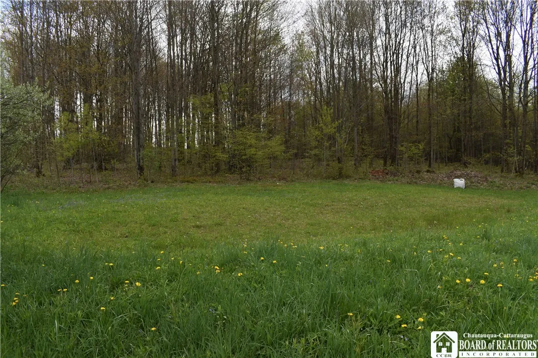 Earl Seaton Rd., Napoli, New York 14772, Napoli, New York 14772, ,Land,For Sale,Earl Seaton Rd., Napoli, New York 14772,R1590541
