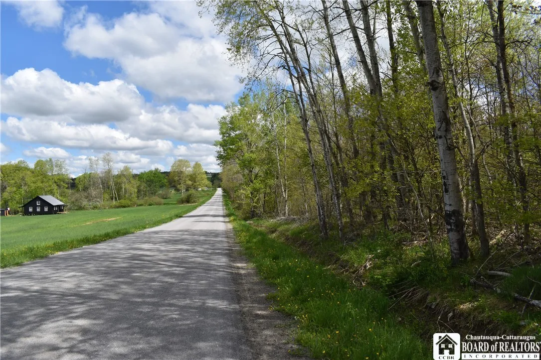Earl Seaton Rd., Napoli, New York 14772, Napoli, New York 14772, ,Land,For Sale,Earl Seaton Rd., Napoli, New York 14772,R1590541