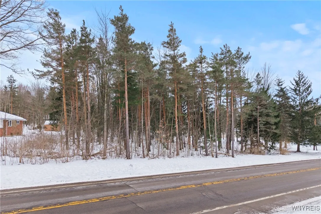 V/l Boston Ridge Road, Orchard Park, New York 1412, Orchard Park, New York 14127, ,Land,Closed,V/l Boston Ridge Road, Orchard Park, New York 1412,0,B1588042