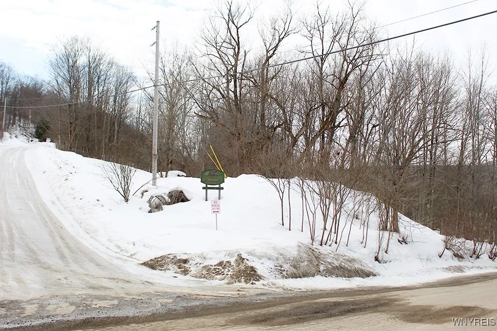 Vl Dublin Road, Mansfield, New York 14731, Mansfield, New York 14731, ,Land,For Sale,Vl Dublin Road, Mansfield, New York 14731,B1591274