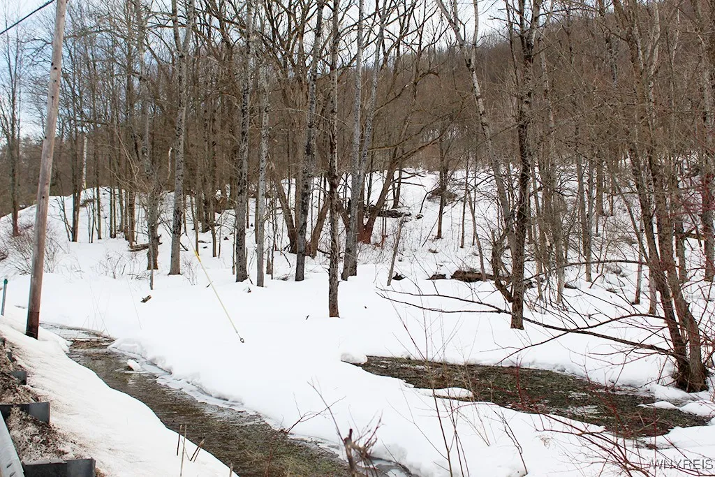 Vl Dublin Road, Mansfield, New York 14731, Mansfield, New York 14731, ,Land,For Sale,Vl Dublin Road, Mansfield, New York 14731,B1591274