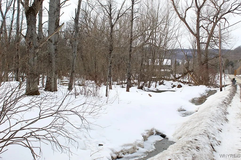 Vl Dublin Road, Mansfield, New York 14731, Mansfield, New York 14731, ,Land,For Sale,Vl Dublin Road, Mansfield, New York 14731,B1591274