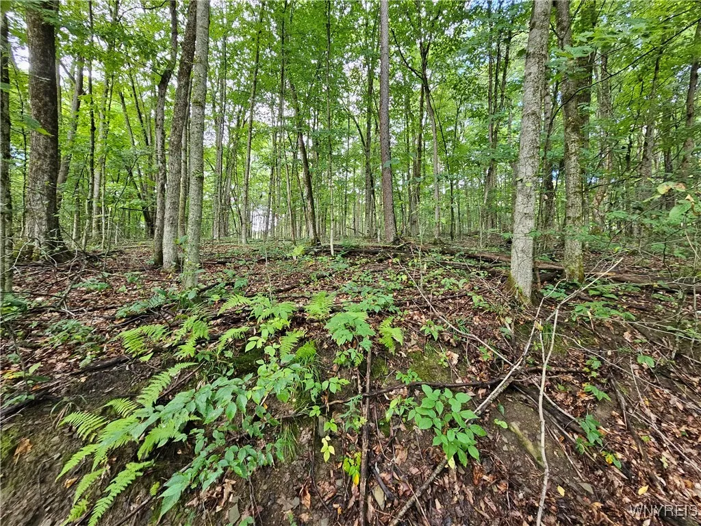 Dublin Terrace Road, Mansfield, New York 14779, Mansfield, New York 14779, ,Land,For Sale,Dublin Terrace Road, Mansfield, New York 14779,0,B1591322