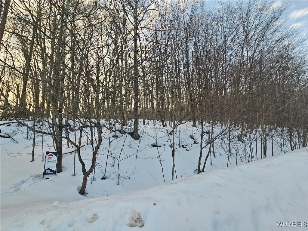 Dublin Terrace Road, Mansfield, New York 14779, Mansfield, New York 14779, ,Land,For Sale,Dublin Terrace Road, Mansfield, New York 14779,0,B1591322