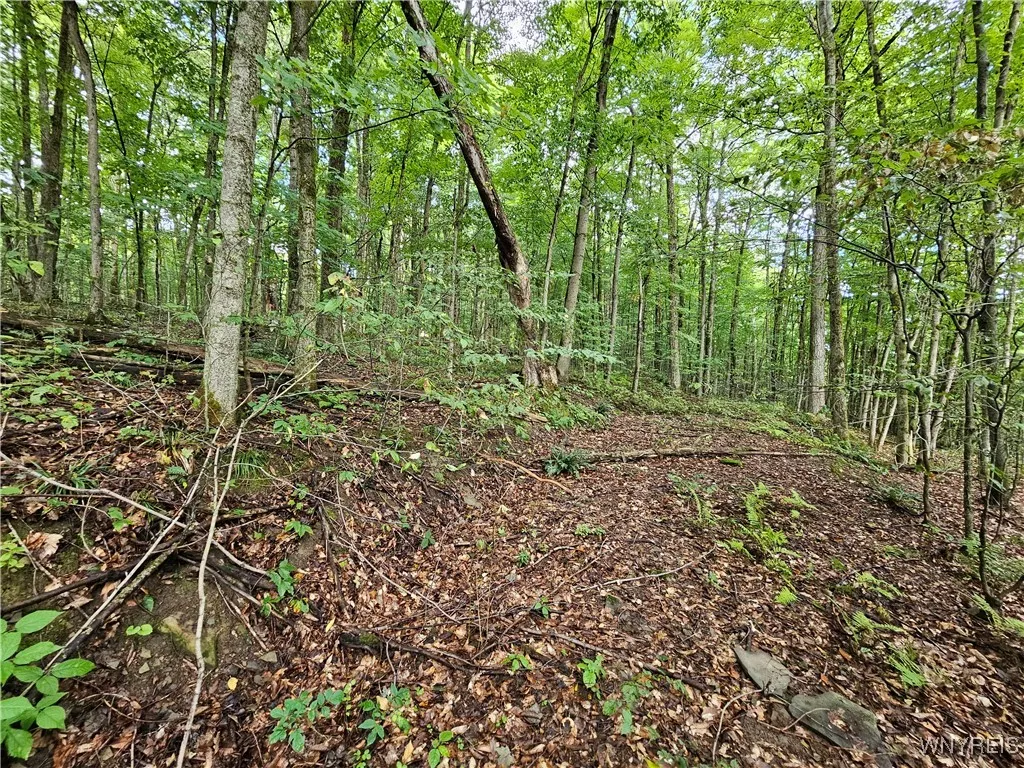 Dublin Terrace Road, Mansfield, New York 14779, Mansfield, New York 14779, ,Land,For Sale,Dublin Terrace Road, Mansfield, New York 14779,0,B1591322 Dublin Terrace Road, Mansfield, New York 14779, Mansfield, New York 14779, ,Land,For Sale,Dublin Terrace Road, Mansfield, New York 14779,0,B1591322