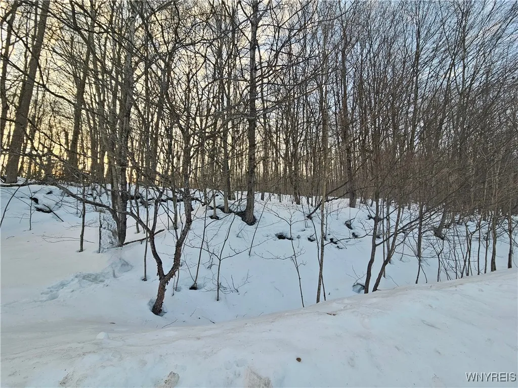 Dublin Terrace Road, Mansfield, New York 14779, Mansfield, New York 14779, ,Land,For Sale,Dublin Terrace Road, Mansfield, New York 14779,B1591322