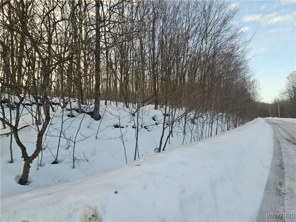 Dublin Terrace Road, Mansfield, New York 14779, Mansfield, New York 14779, ,Land,For Sale,Dublin Terrace Road, Mansfield, New York 14779,B1591322
