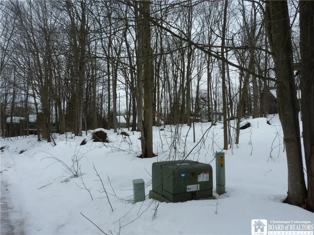 Scandia Drive, Ellery, New York 14712, Ellery, New York 14712, ,Land,For Sale,Scandia Drive, Ellery, New York 14712,0,R1589867