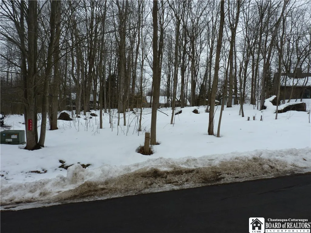 Scandia Drive, Ellery, New York 14712, Ellery, New York 14712, ,Land,For Sale,Scandia Drive, Ellery, New York 14712,0,R1589867