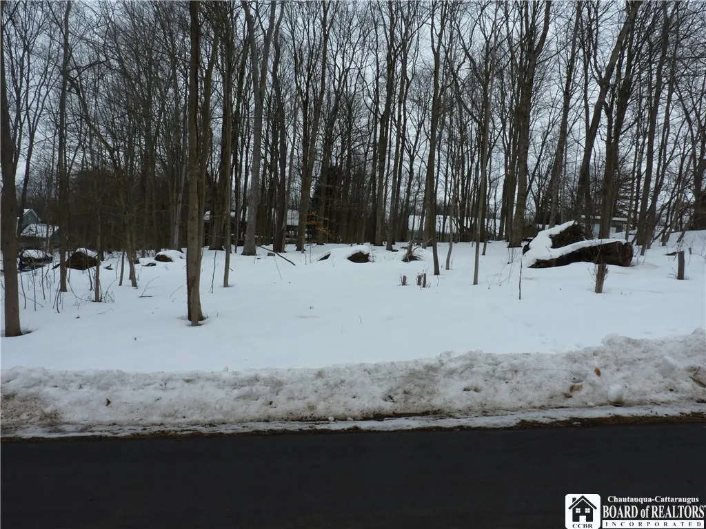 Scandia Drive, Ellery, New York 14712, Ellery, New York 14712, ,Land,For Sale,Scandia Drive, Ellery, New York 14712,0,R1589867