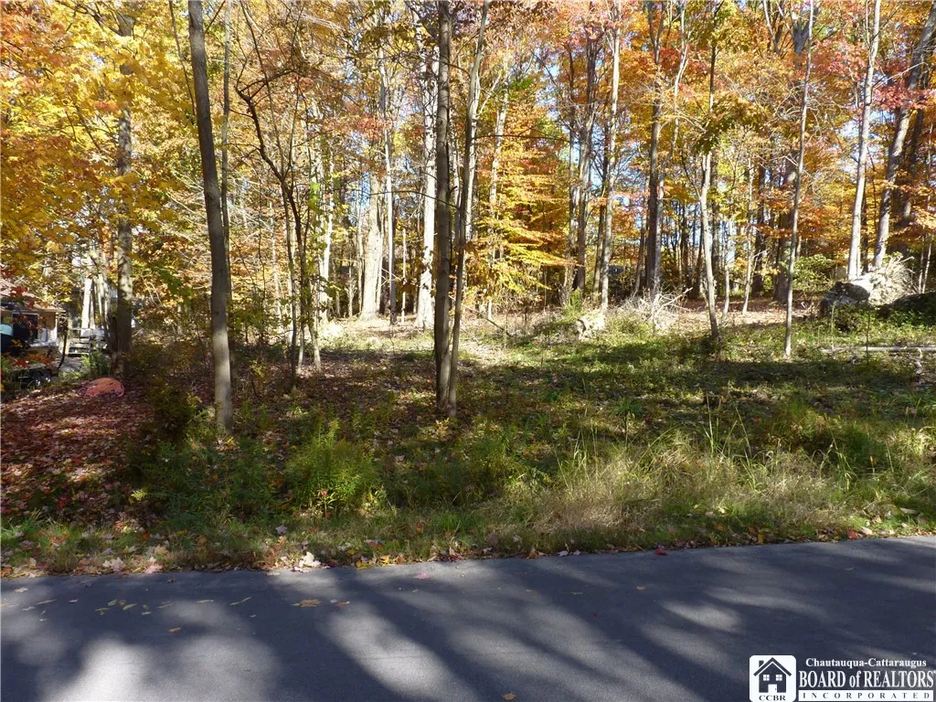 Scandia Drive, Ellery, New York 14712, Ellery, New York 14712, ,Land,For Sale,Scandia Drive, Ellery, New York 14712,0,R1589867