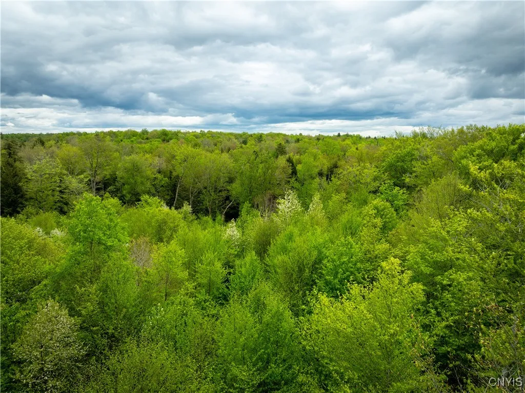 Lot 32 Wheelertown Road, Russia, New York 13438, Russia, New York 13438, ,Land,For Sale,Lot 32 Wheelertown Road, Russia, New York 13438,S1591712
