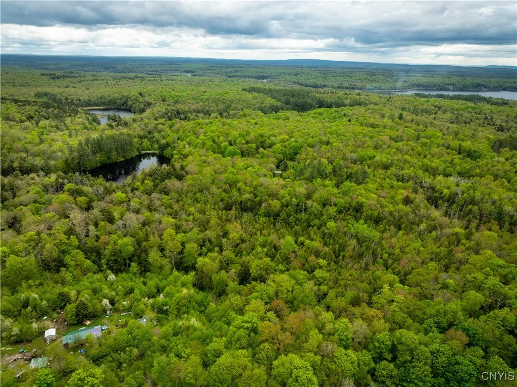 Lot 32 Wheelertown Road, Russia, New York 13438, Russia, New York 13438, ,Land,For Sale,Lot 32 Wheelertown Road, Russia, New York 13438,S1591712