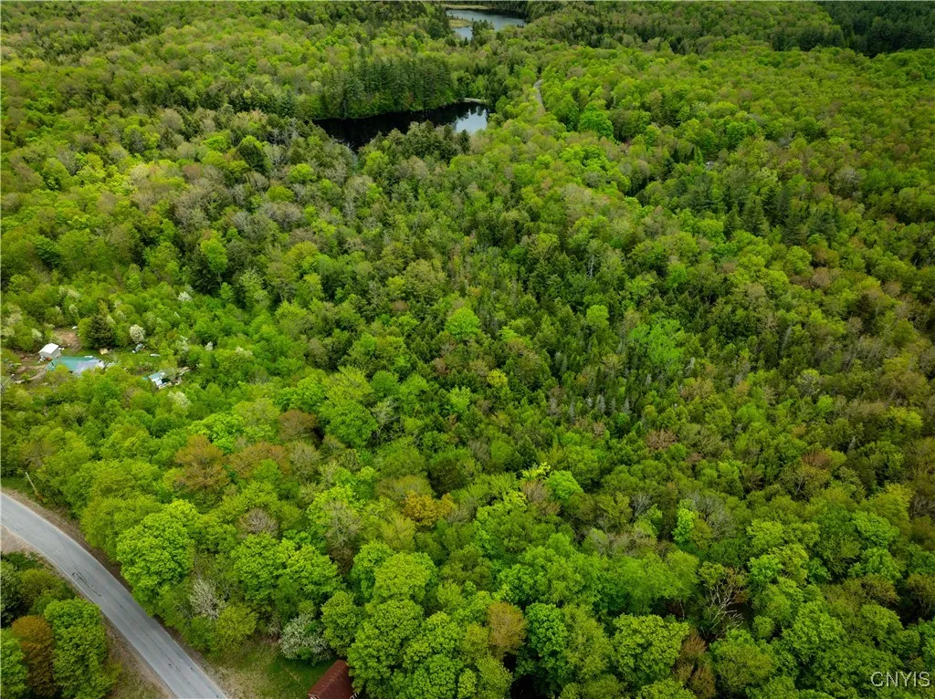 Lot 32 Wheelertown Road, Russia, New York 13438, Russia, New York 13438, ,Land,For Sale,Lot 32 Wheelertown Road, Russia, New York 13438,S1591712