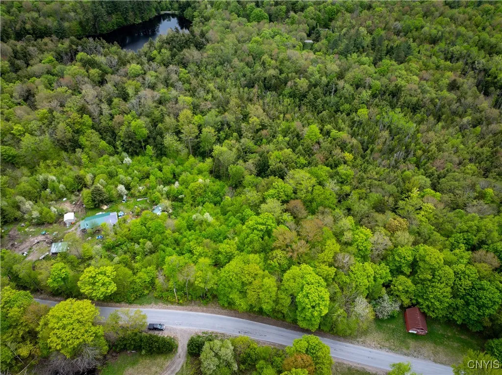 Lot 32 Wheelertown Road, Russia, New York 13438, Russia, New York 13438, ,Land,For Sale,Lot 32 Wheelertown Road, Russia, New York 13438,S1591712