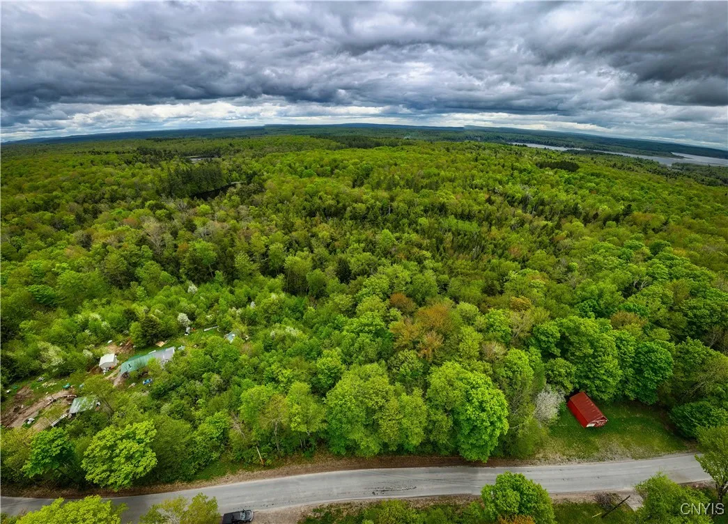 Lot 32 Wheelertown Road, Russia, New York 13438, Russia, New York 13438, ,Land,For Sale,Lot 32 Wheelertown Road, Russia, New York 13438,S1591712