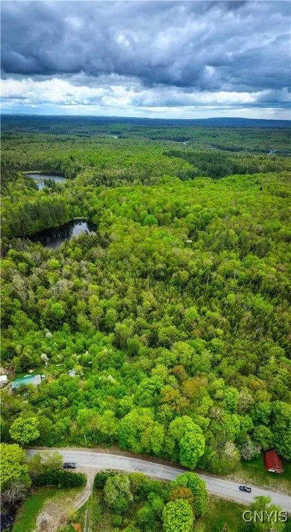 Lot 32 Wheelertown Road, Russia, New York 13438, Russia, New York 13438, ,Land,For Sale,Lot 32 Wheelertown Road, Russia, New York 13438,S1591712