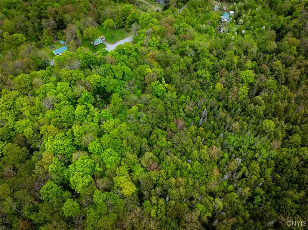 Lot 32 Wheelertown Road, Russia, New York 13438, Russia, New York 13438, ,Land,For Sale,Lot 32 Wheelertown Road, Russia, New York 13438,S1591712