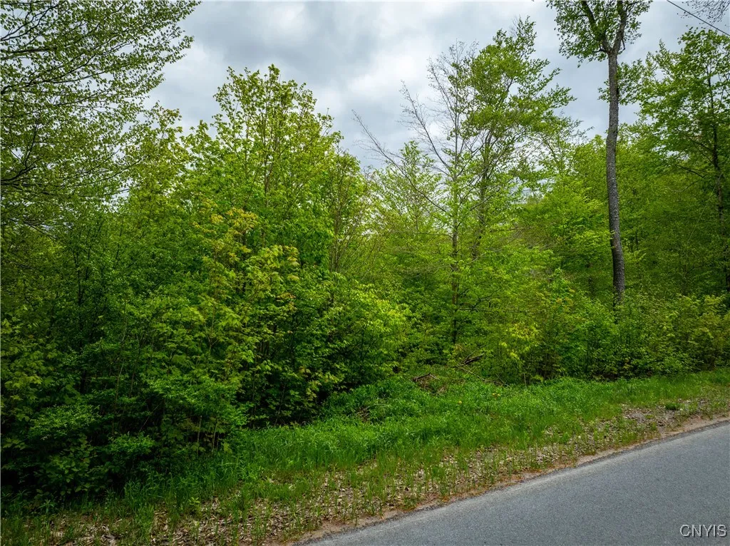 Lot 32 Wheelertown Road, Russia, New York 13438, Russia, New York 13438, ,Land,For Sale,Lot 32 Wheelertown Road, Russia, New York 13438,S1591712