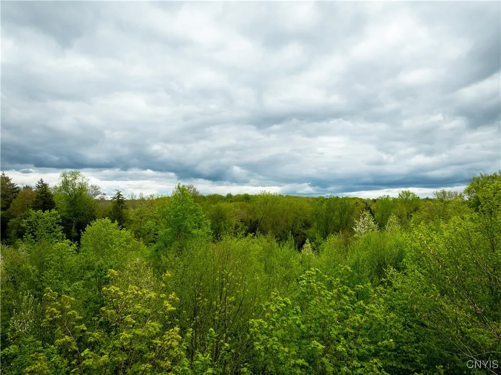 Lot 32 Wheelertown Road, Russia, New York 13438, Russia, New York 13438, ,Land,For Sale,Lot 32 Wheelertown Road, Russia, New York 13438,S1591712