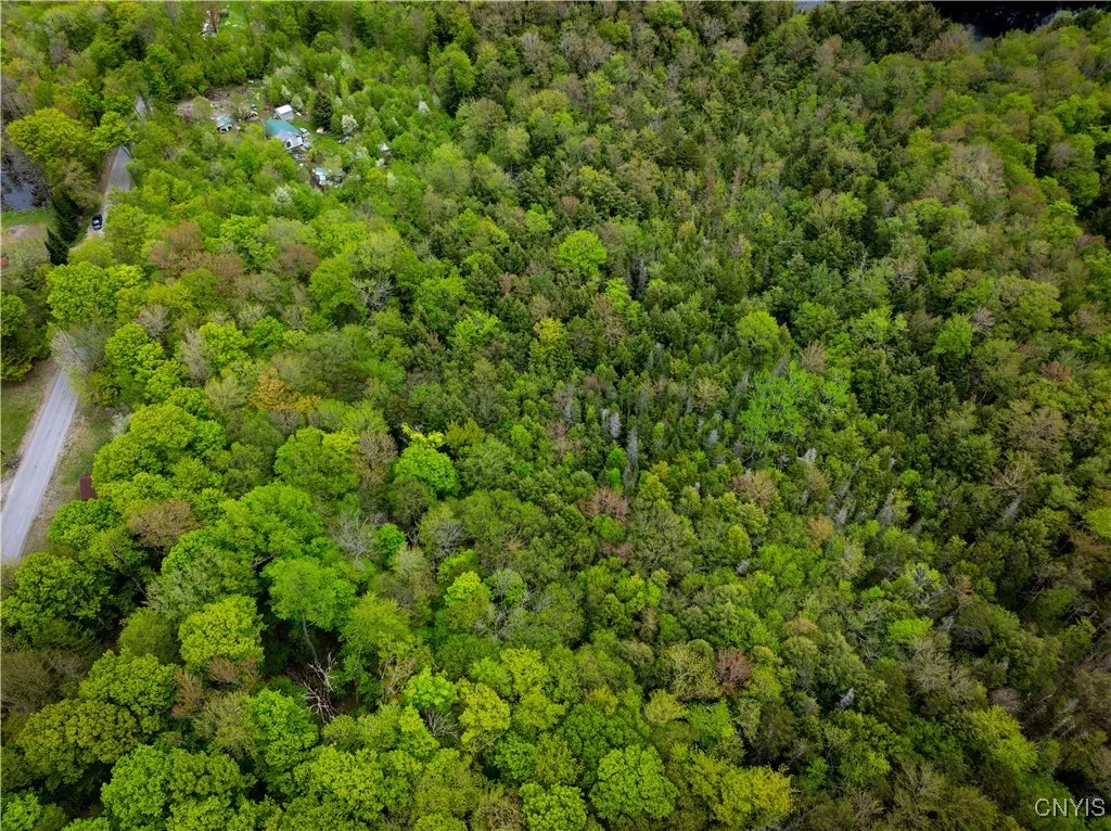 Lot 32 Wheelertown Road, Russia, New York 13438, Russia, New York 13438, ,Land,For Sale,Lot 32 Wheelertown Road, Russia, New York 13438,S1591712