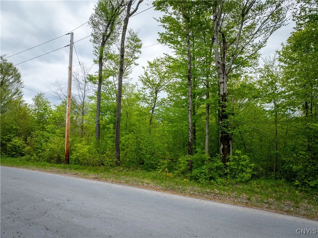 Lot 32 Wheelertown Road, Russia, New York 13438, Russia, New York 13438, ,Land,For Sale,Lot 32 Wheelertown Road, Russia, New York 13438,S1591712