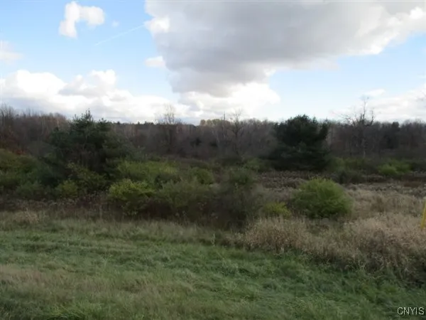 26908 Us Rte 11 Highway, Le Ray, New York 13637, Le Ray, New York 13637, ,Land,For Sale,26908 Us Rte 11 Highway, Le Ray, New York 13637,0,S1588319