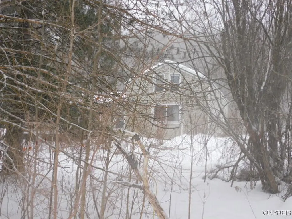 7039 Plato Road, East Otto, New York 14729, East Otto, New York 14729, 4 Bedrooms Bedrooms, 6 Rooms Rooms,1 BathroomBathrooms,Residential,Closed,7039 Plato Road, East Otto, New York 14729,B1591960