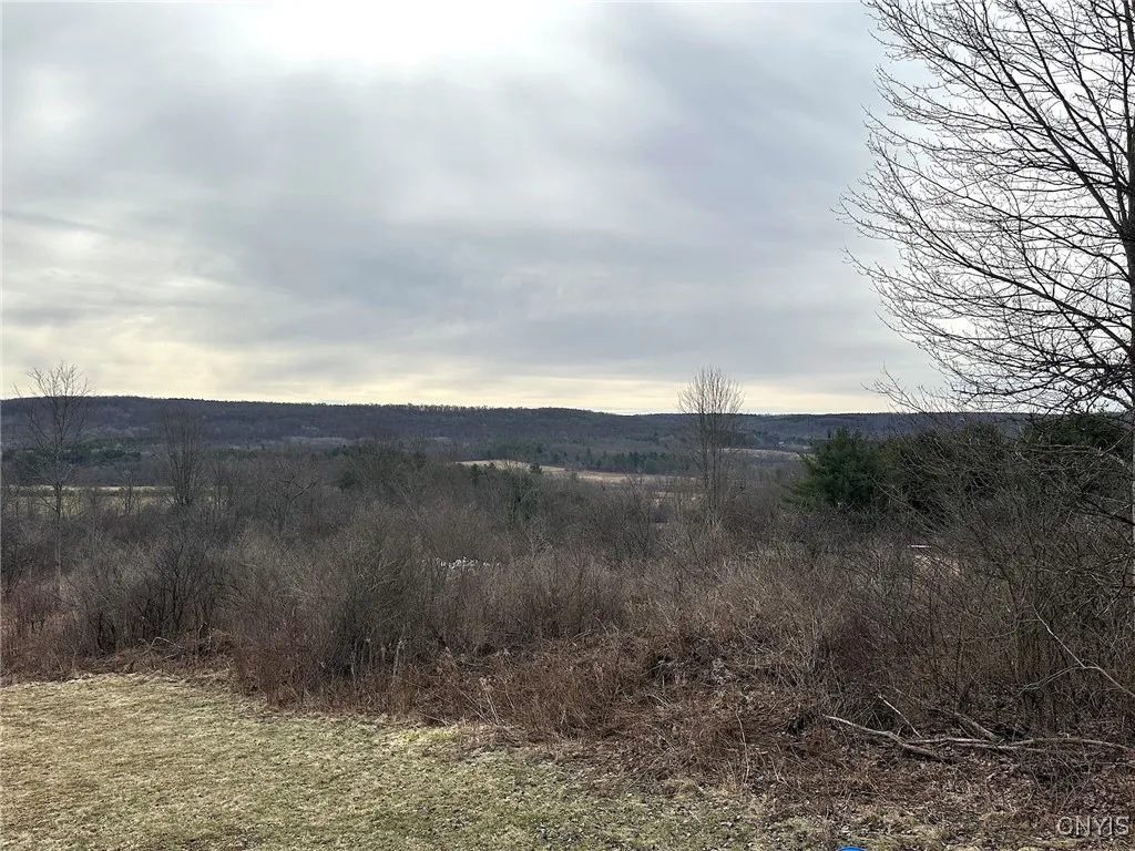 8302 Basswood Hill Road, Allen, New York 14709, Allen, New York 14709, ,Land,Closed,8302 Basswood Hill Road, Allen, New York 14709,0,S1591991